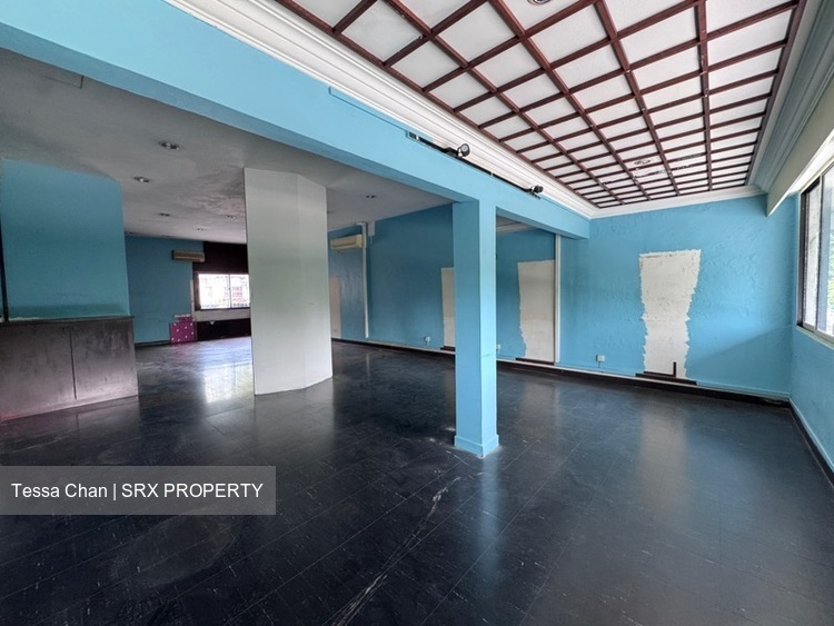 KENSINGTON PARK ROAD (D19), Shop House #628286081